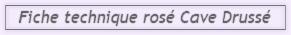 ROS 2024 -CAVE DRUSS.pdf
