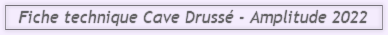 Amplitude 2022 Cave Druss